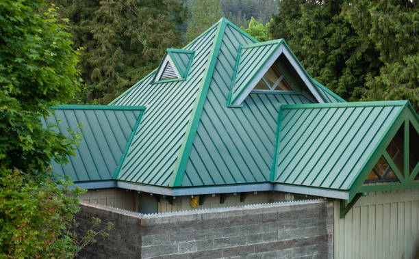 Best Roof Ventilation Installation  in Napili Honokowai, HI